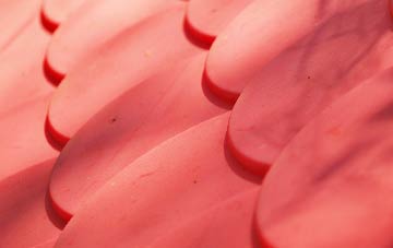 The Leacon plastic roof costs